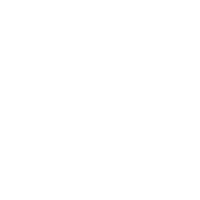 Coolers