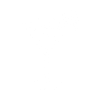 Alcoholic Cocktails